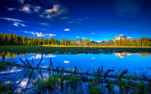 510384 (a): :2560x1600